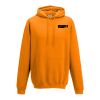 College hoodie Thumbnail