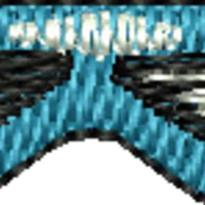 NZ248 Thumbnail