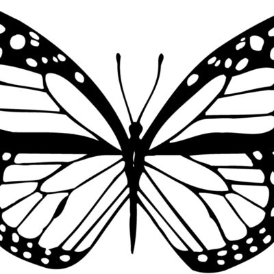 BTRFLY04 Thumbnail