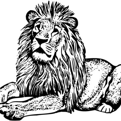 LION004 Thumbnail