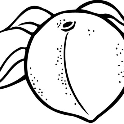 FRUIT023 Thumbnail