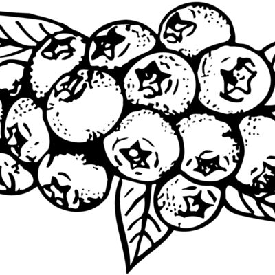 FRUIT037 Thumbnail