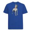 Classic heavyweight ringspun t-shirt Thumbnail
