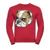 Set-in sleeve sweatshirt Thumbnail