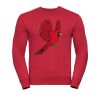 Set-in sleeve sweatshirt Thumbnail