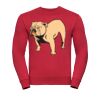 Set-in sleeve sweatshirt Thumbnail
