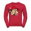 Set-in sleeve sweatshirt Thumbnail