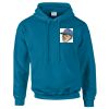 Budget Unisex Hoodie Thumbnail