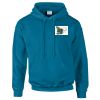 Budget Unisex Hoodie Thumbnail