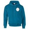 Budget Unisex Hoodie Thumbnail