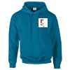 Budget Unisex Hoodie Thumbnail