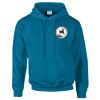 Budget Unisex Hoodie Thumbnail