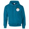 Budget Unisex Hoodie Thumbnail