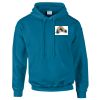 Budget Unisex Hoodie Thumbnail