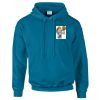 Budget Unisex Hoodie Thumbnail