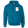 Budget Unisex Hoodie Thumbnail