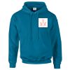 Budget Unisex Hoodie Thumbnail