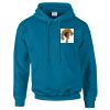 Budget Unisex Hoodie Thumbnail