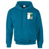 Budget Unisex Hoodie Thumbnail