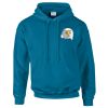 Budget Unisex Hoodie Thumbnail