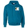Budget Unisex Hoodie Thumbnail