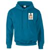 Budget Unisex Hoodie Thumbnail