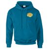 Budget Unisex Hoodie Thumbnail