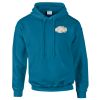Budget Unisex Hoodie Thumbnail