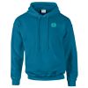 Budget Unisex Hoodie Thumbnail