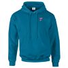 Budget Unisex Hoodie Thumbnail