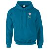 Budget Unisex Hoodie Thumbnail