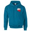 Budget Unisex Hoodie Thumbnail