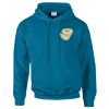Budget Unisex Hoodie Thumbnail