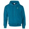 Budget Unisex Hoodie Thumbnail