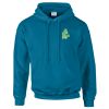 Budget Unisex Hoodie Thumbnail