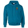 Budget Unisex Hoodie Thumbnail