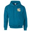Budget Unisex Hoodie Thumbnail
