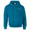 Budget Unisex Hoodie Thumbnail