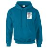 Budget Unisex Hoodie Thumbnail