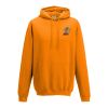 College hoodie Thumbnail