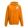 College hoodie Thumbnail