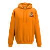 College hoodie Thumbnail