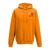 College hoodie Thumbnail