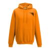 College hoodie Thumbnail