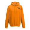 College hoodie Thumbnail