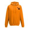 College hoodie Thumbnail