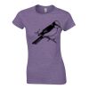 Softstyle® women's ringspun t-shirt Thumbnail