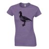 Softstyle® women's ringspun t-shirt Thumbnail